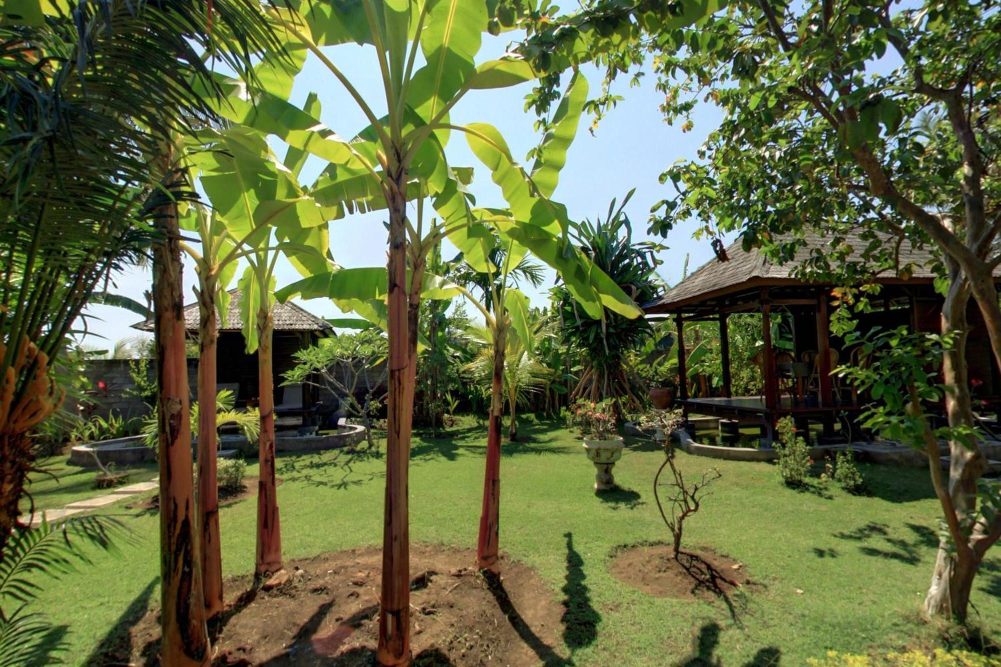 Sawah Lovina Hotel Ngoại thất bức ảnh